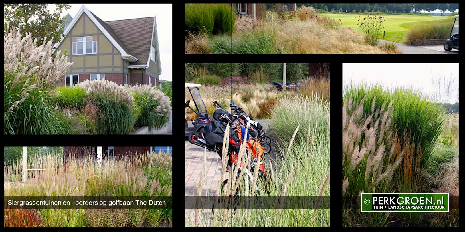 Siergrassentuinen en borders op golfbaan The Dutch Siergrassentuinen en borders op golfbaan The Dutch